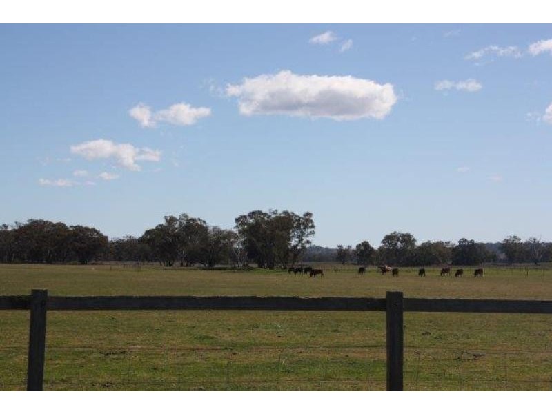 1158 Warrumbungle Way, Coolah NSW 2843