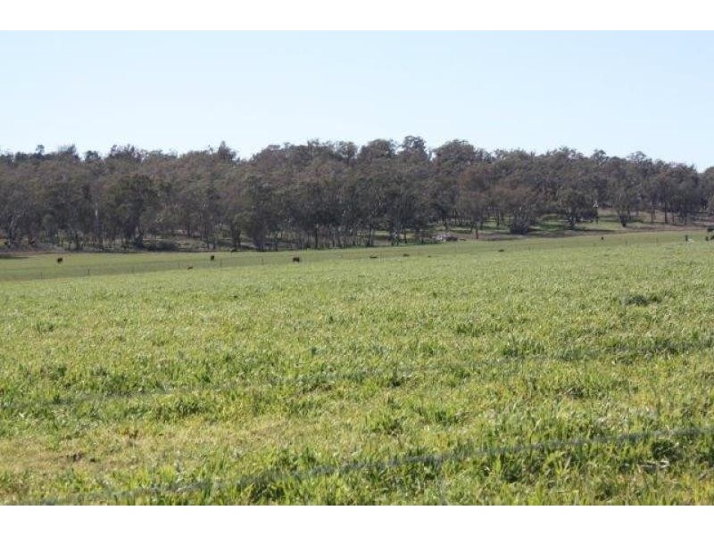 1158 Warrumbungle Way, Coolah NSW 2843