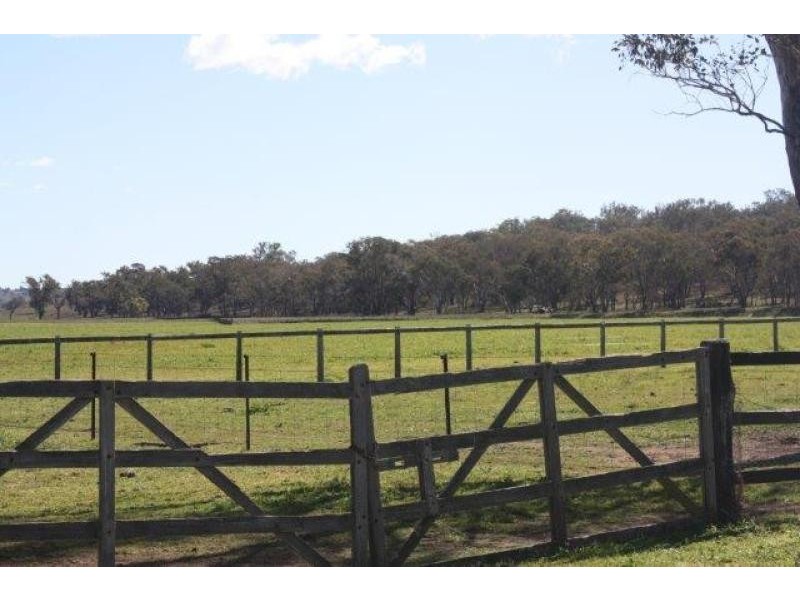 1158 Warrumbungle Way, Coolah NSW 2843