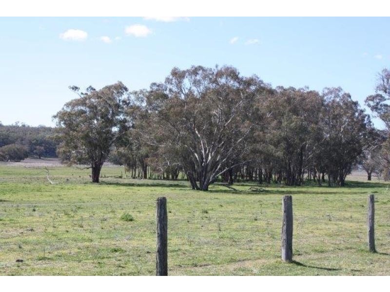 1158 Warrumbungle Way, Coolah NSW 2843