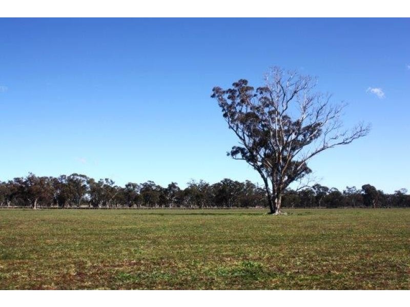 1158 Warrumbungle Way, Coolah NSW 2843