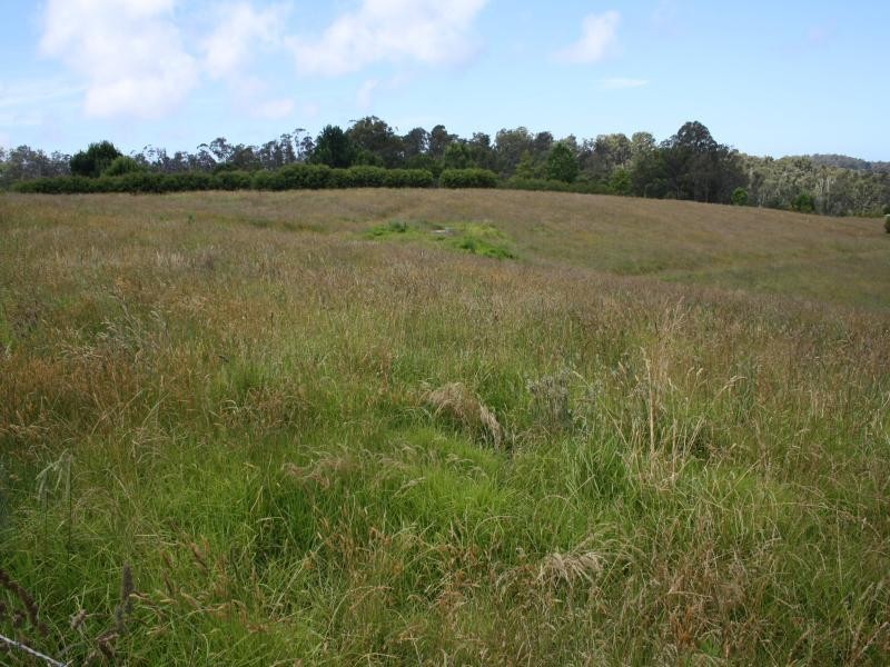 465 Riverview Road NORTH NAROOMA 2546, North Narooma NSW 2546