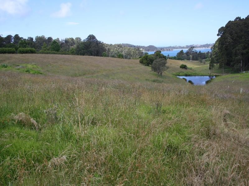 465 Riverview  Road NORTH NAROOMA 2546, North Narooma NSW 2546