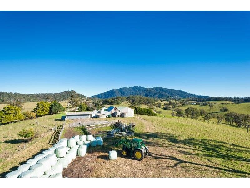 Central Tilba NSW 2546