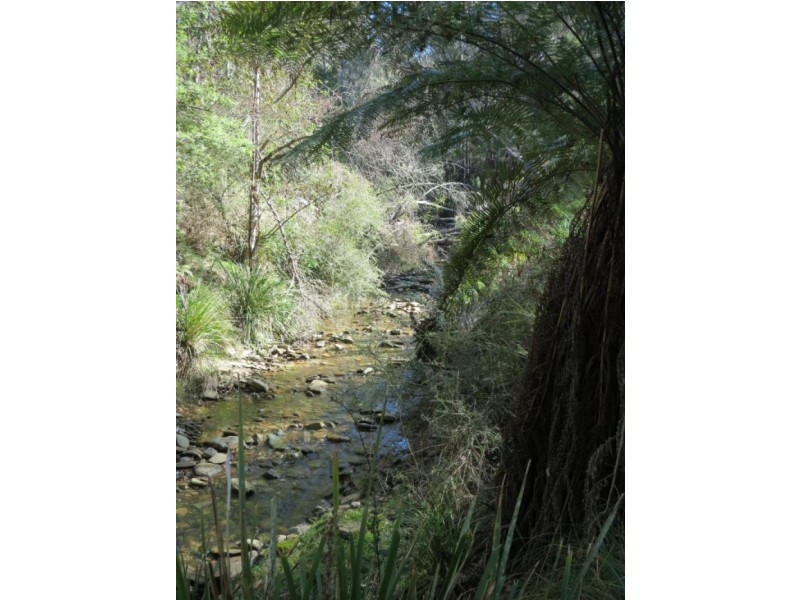 2862 Eurobodalla  Road, Nerrigundah NSW 2545