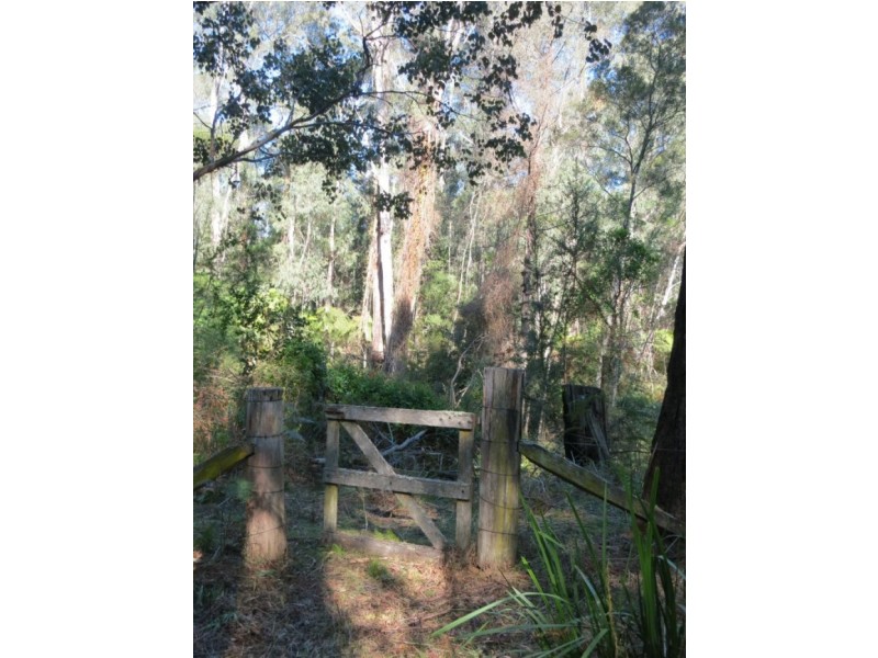 2862 Eurobodalla  Road, Nerrigundah NSW 2545
