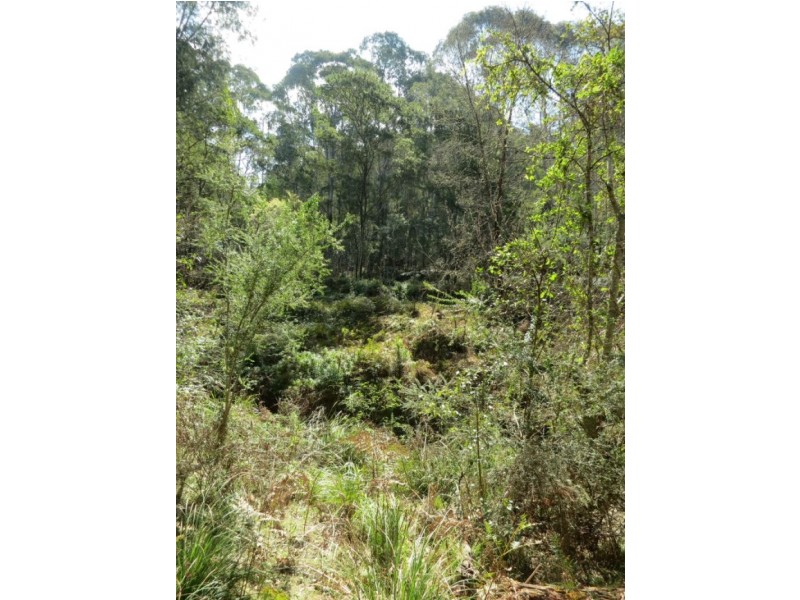 2862 Eurobodalla  Road, Nerrigundah NSW 2545