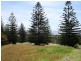 Tuross Head NSW 2537