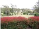 Bodalla NSW 2545