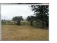 433 Manilla Road SOMERTON 2340, Somerton NSW 2340