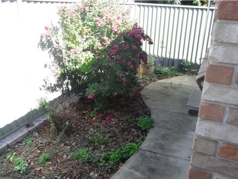 127A Carthage Street TAMWORTH 2340, Tamworth NSW 2340