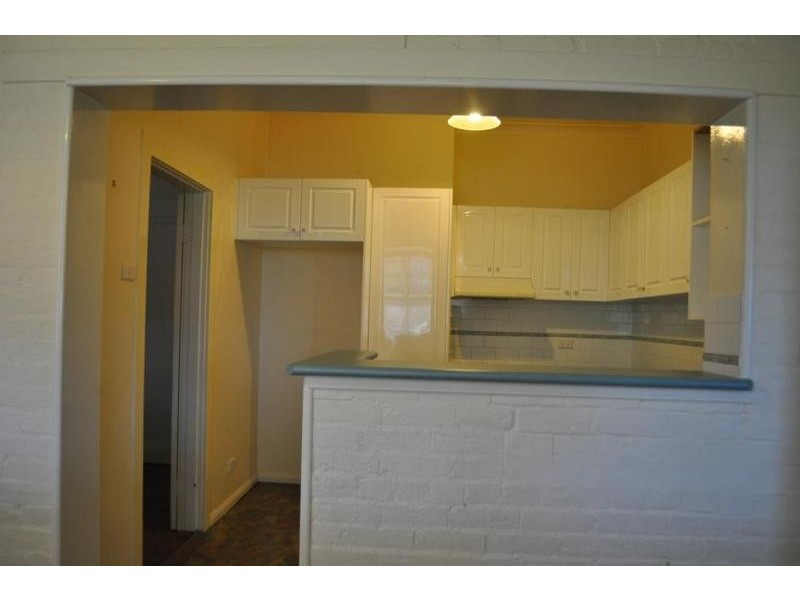 53 Carthage  Street, Tamworth NSW 2340