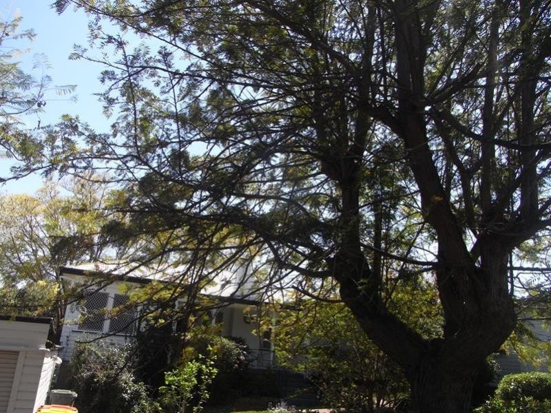 72 Hill Street, East Tamworth NSW 2340