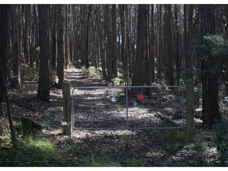 50 Kangaroo Drive COOMOORA 3461, Coomoora VIC 3461