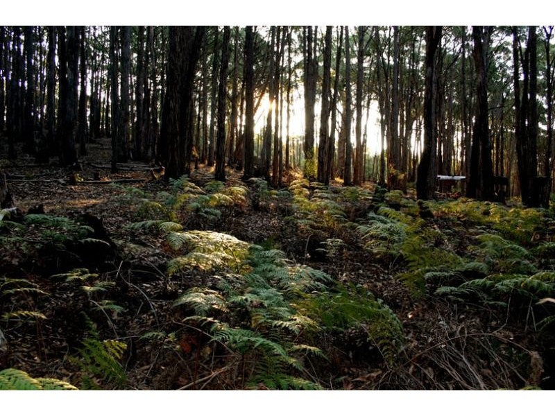 50 Kangaroo Drive COOMOORA 3461, Coomoora VIC 3461