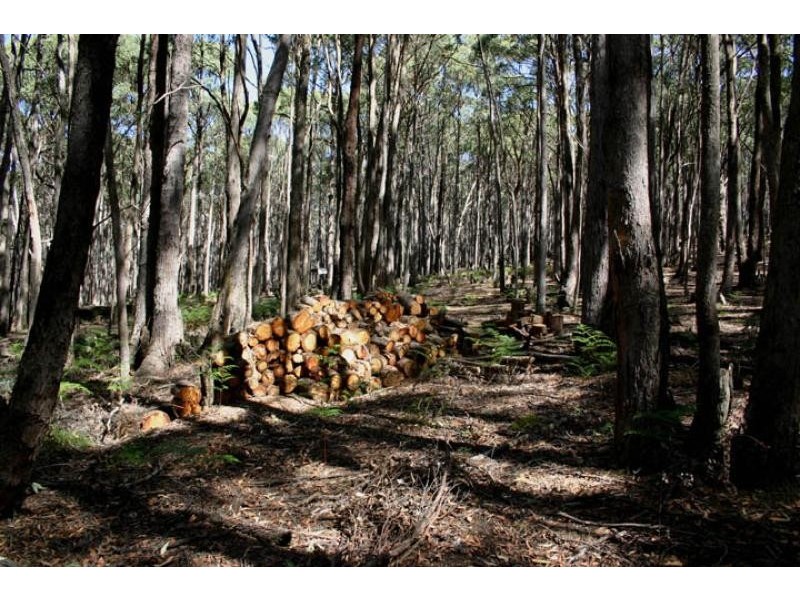 50 Kangaroo Drive COOMOORA 3461, Coomoora VIC 3461