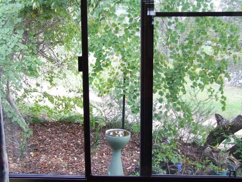 2952 Clarence Way, Copmanhurst NSW 2460