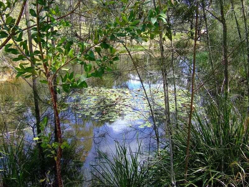 2952 Clarence Way, Copmanhurst NSW 2460