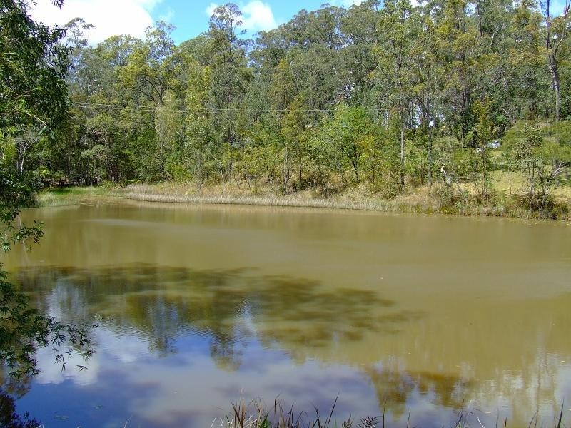 2952 Clarence Way, Copmanhurst NSW 2460