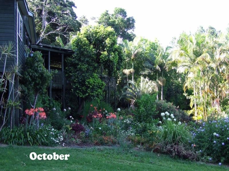 495 Humpty Back Road, Mcleans Ridges NSW 2480