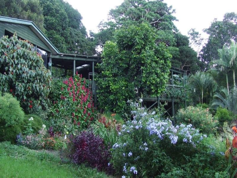 495 Humpty Back Road, Mcleans Ridges NSW 2480