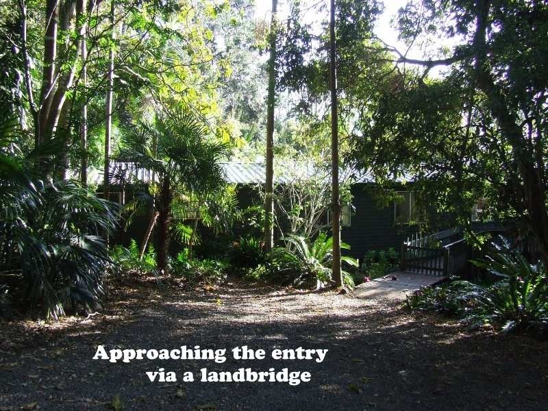 495 Humpty Back Road, Mcleans Ridges NSW 2480