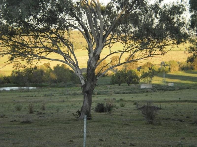 767 Irongate Road, Pittsworth QLD 4356