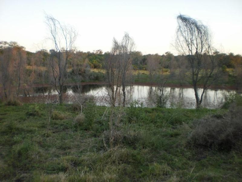 767 Irongate Road, Pittsworth QLD 4356