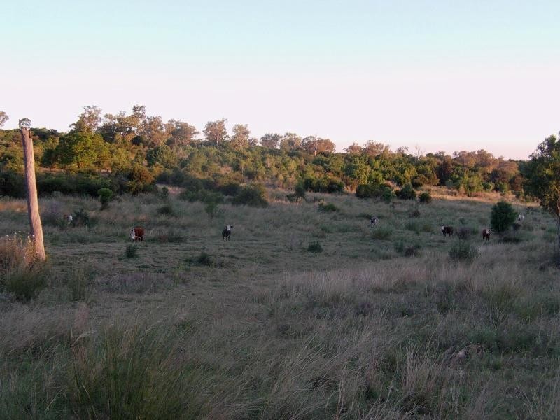 767 Irongate Road, Pittsworth QLD 4356