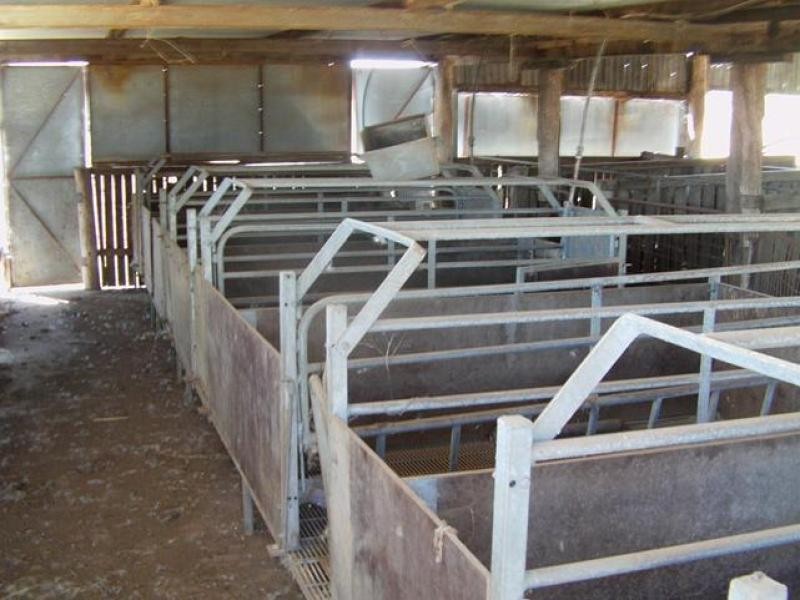 767 Irongate Road, Pittsworth QLD 4356