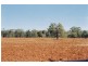 Lot 17 Nevertire Road, Tottenham NSW 2873