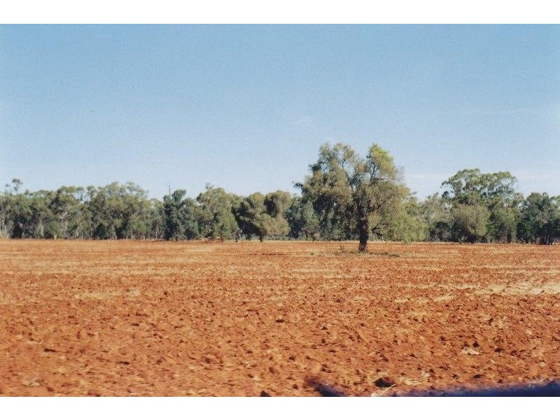 Lot 17 Nevertire Road, Tottenham NSW 2873