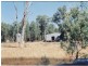 Lot 17 Nevertire Road, Tottenham NSW 2873