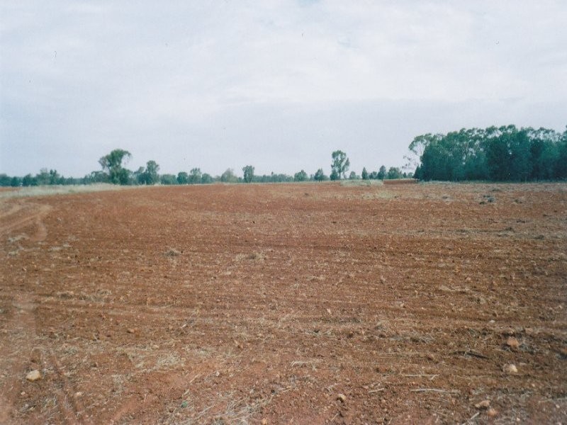 Lot 17 Nevertire Road, Tottenham NSW 2873