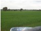 Lot 17 Nevertire Road, Tottenham NSW 2873