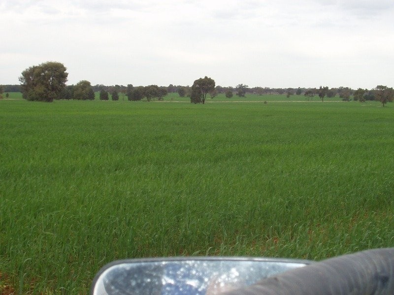 Lot 17 Nevertire Road, Tottenham NSW 2873
