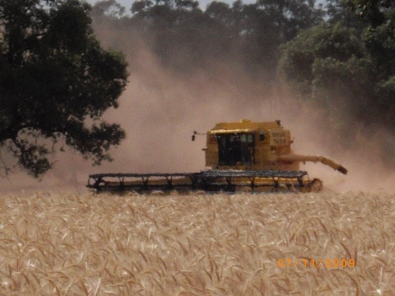 Lot 17 Nevertire Road, Tottenham NSW 2873