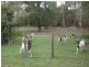42 – 52 Weaber Road, Buccan QLD 4207