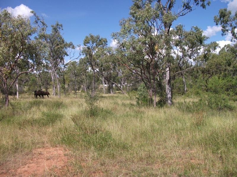 225 Burdekin Road, Charters Towers QLD 4820