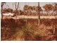 6 Coral Court ILBILBIE 4738, Ilbilbie QLD 4738