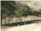620 Settlement Road, Clarkefield VIC 3430