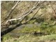 620 Settlement Road, Clarkefield VIC 3430