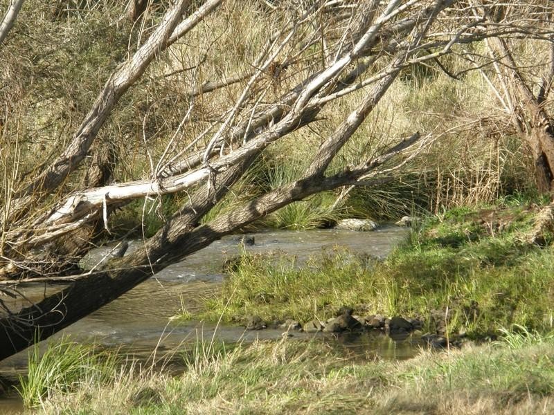 620 Settlement Road, Clarkefield VIC 3430