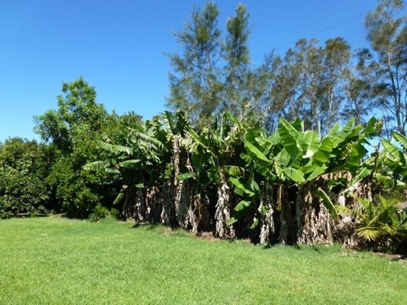 397 Blackmans Point Road, Port Macquarie NSW 2444