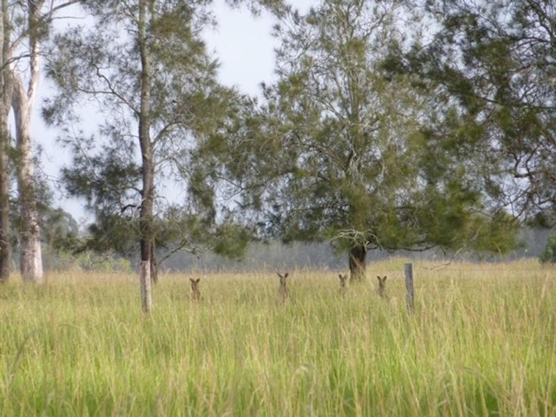 397 Blackmans Point Road, Port Macquarie NSW 2444