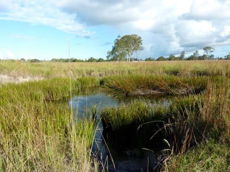 397 Blackmans Point Road, Port Macquarie NSW 2444