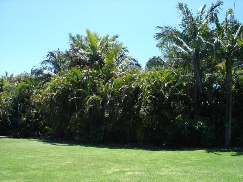 221 Witta Road, Maleny QLD 4552