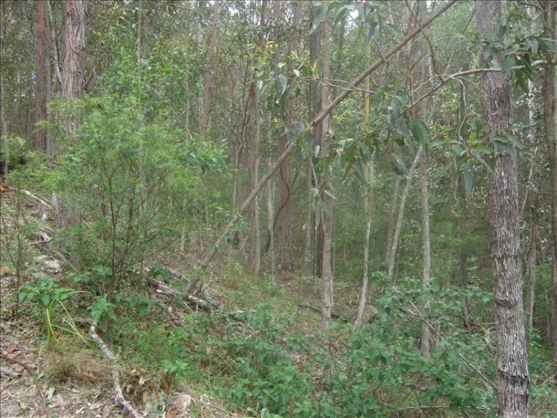 10 Boxer Avenue, Shailer Park QLD 4128