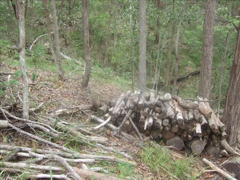 10 Boxer Avenue, Shailer Park QLD 4128