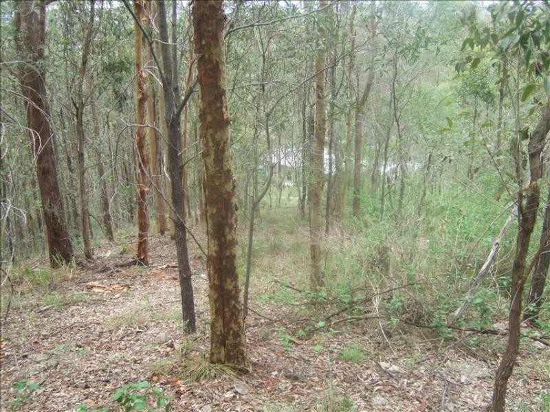 10 Boxer Avenue, Shailer Park QLD 4128